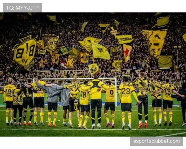 多特蒙德南看台文化面临挑战，欧足联新规或改变球迷体验